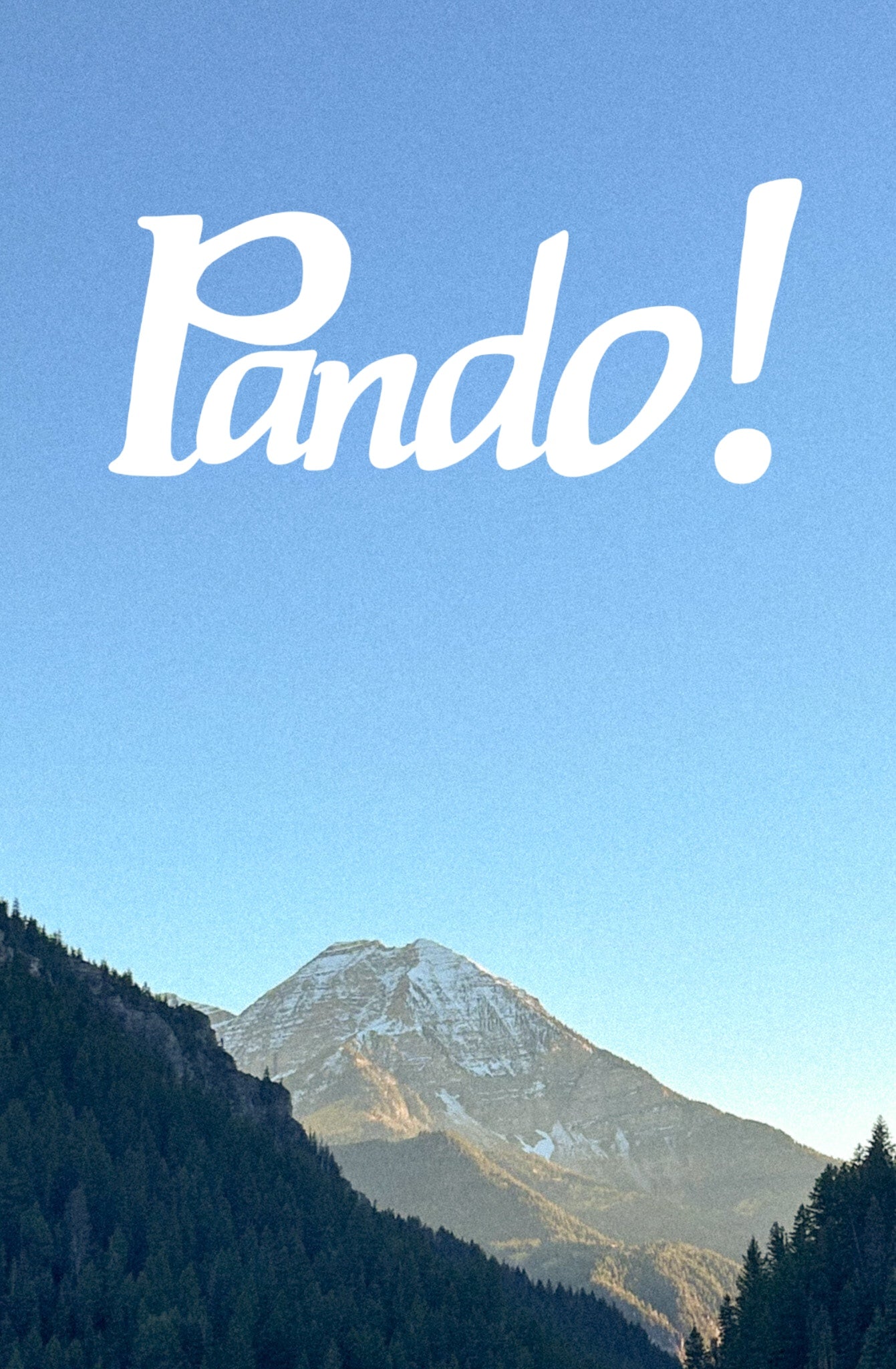 ThePandoSearchParty